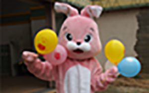 プロモーションイベント